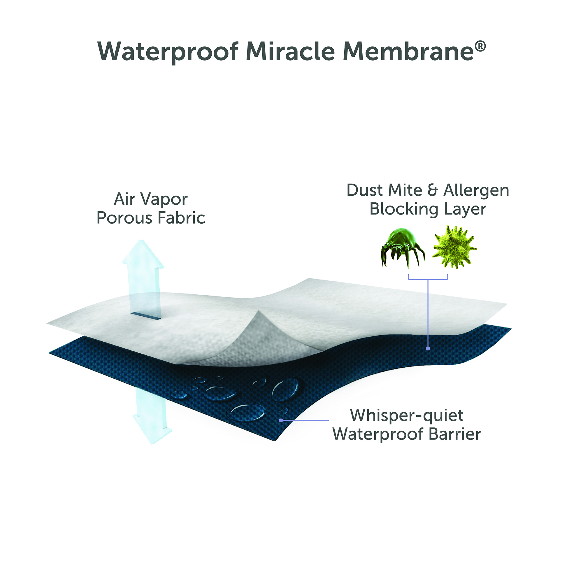 MiracleMembrane-2000x2000